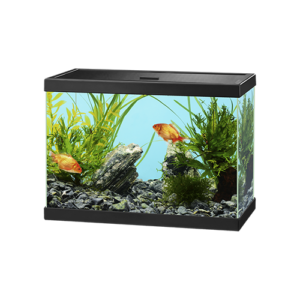 GlassyTank