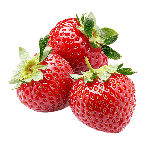 Premium Dry Fruits Mix